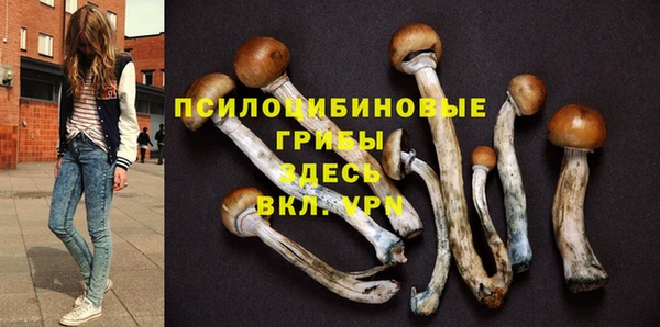 кристаллы Арсеньев