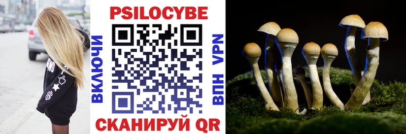 закладка  гидра как зайти  Псилоцибиновые грибы Psilocybe  Усть-Лабинск 